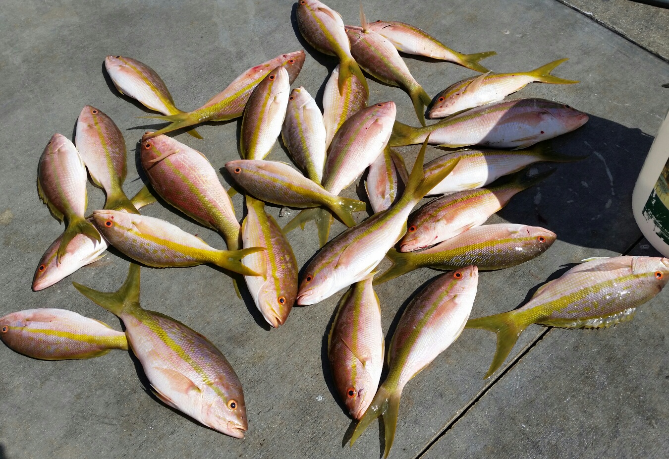 Tuesday, October 14, 2014  8am-12noon