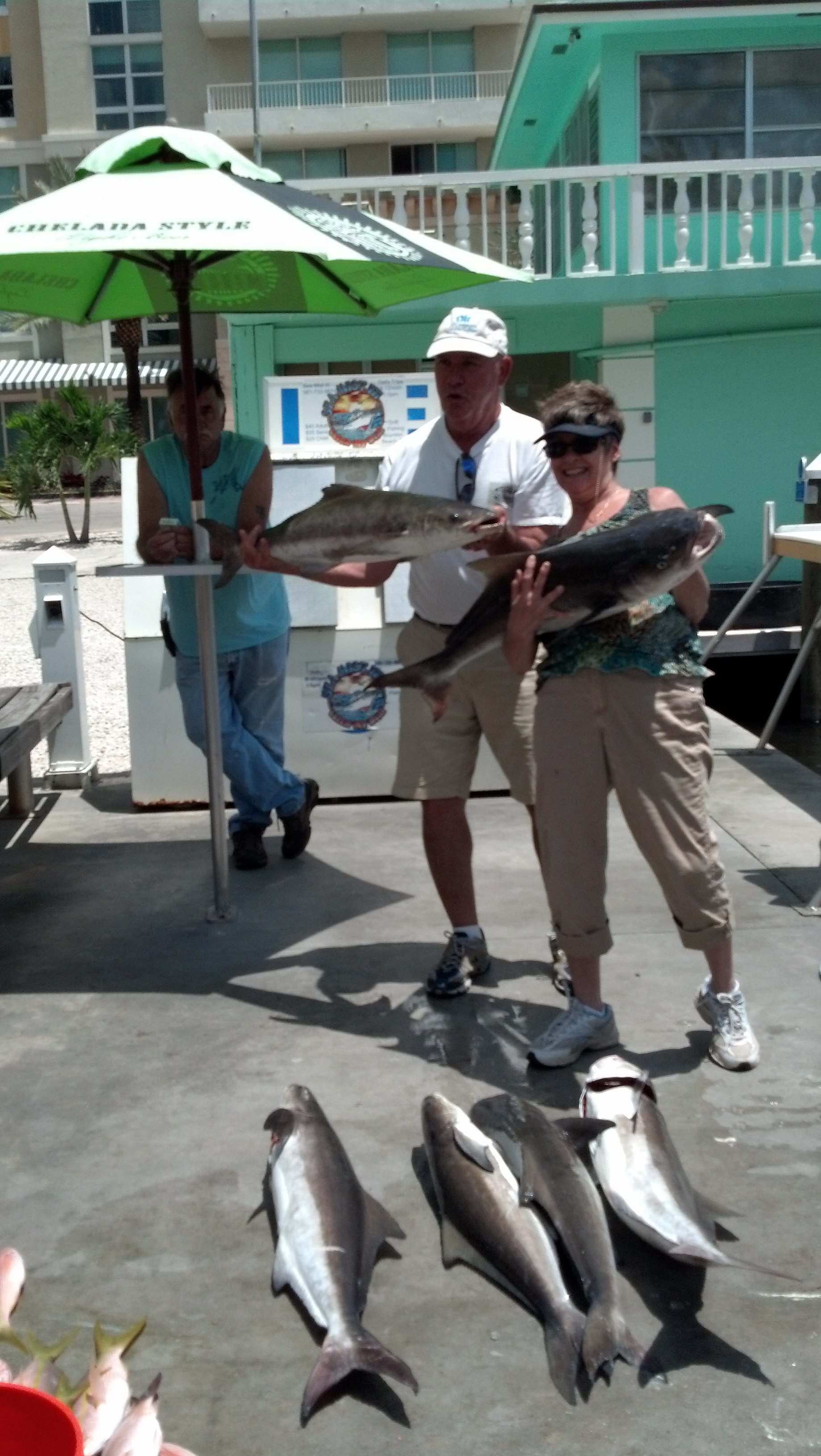 Monday, May 19, 2014   8am-12noon