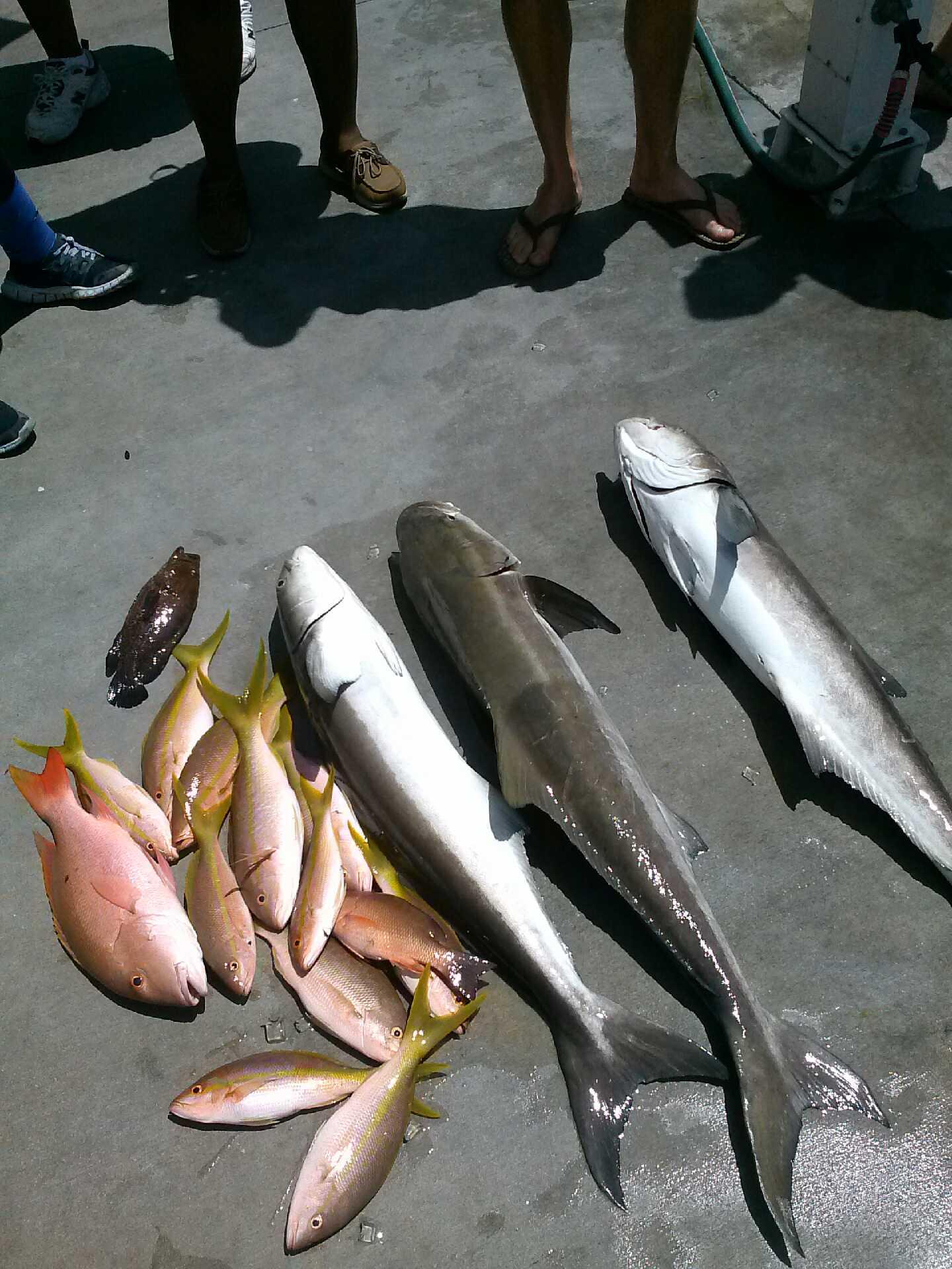 Friday, June 13, 2014   8am-12noon