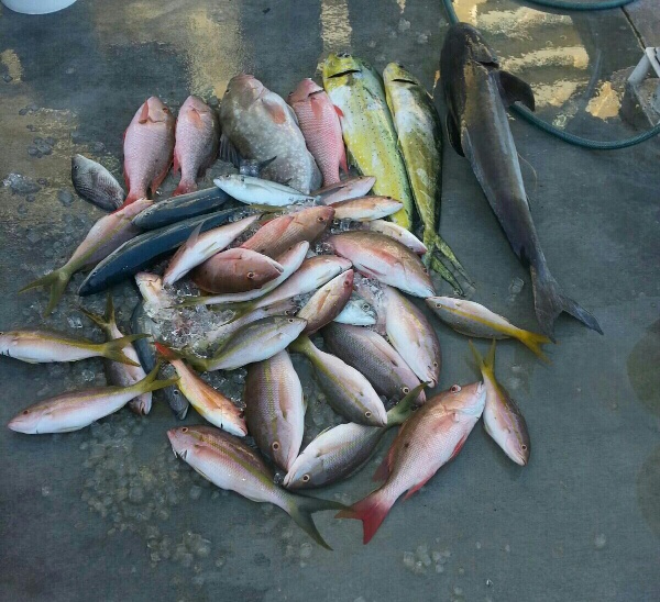 Sunday, October 26, 2014  1-5 pm