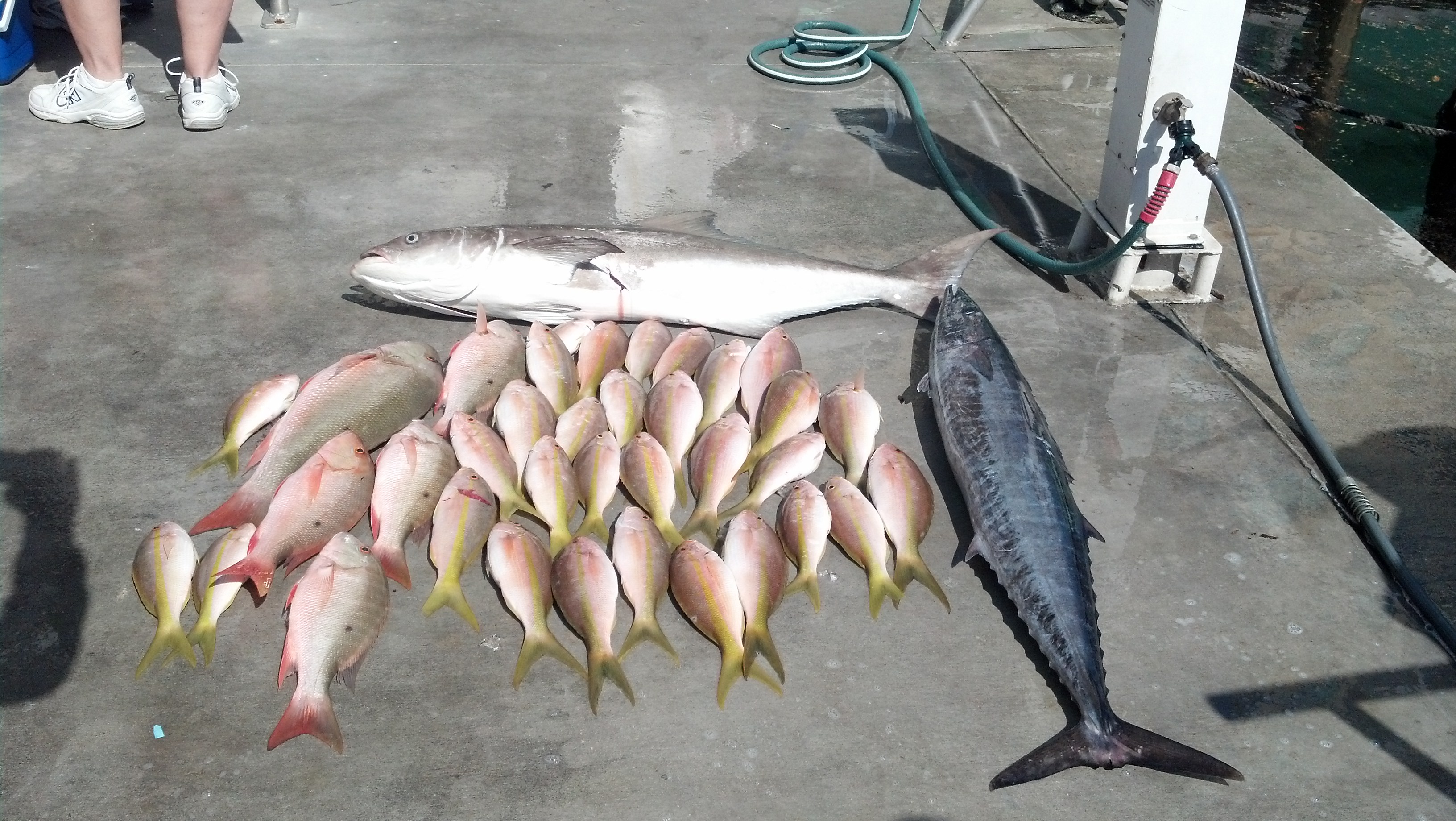 October 31, 2014 8am-12noon