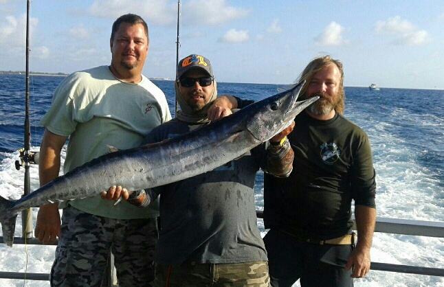 Tuesday, April 14, 2015   8am-12noon