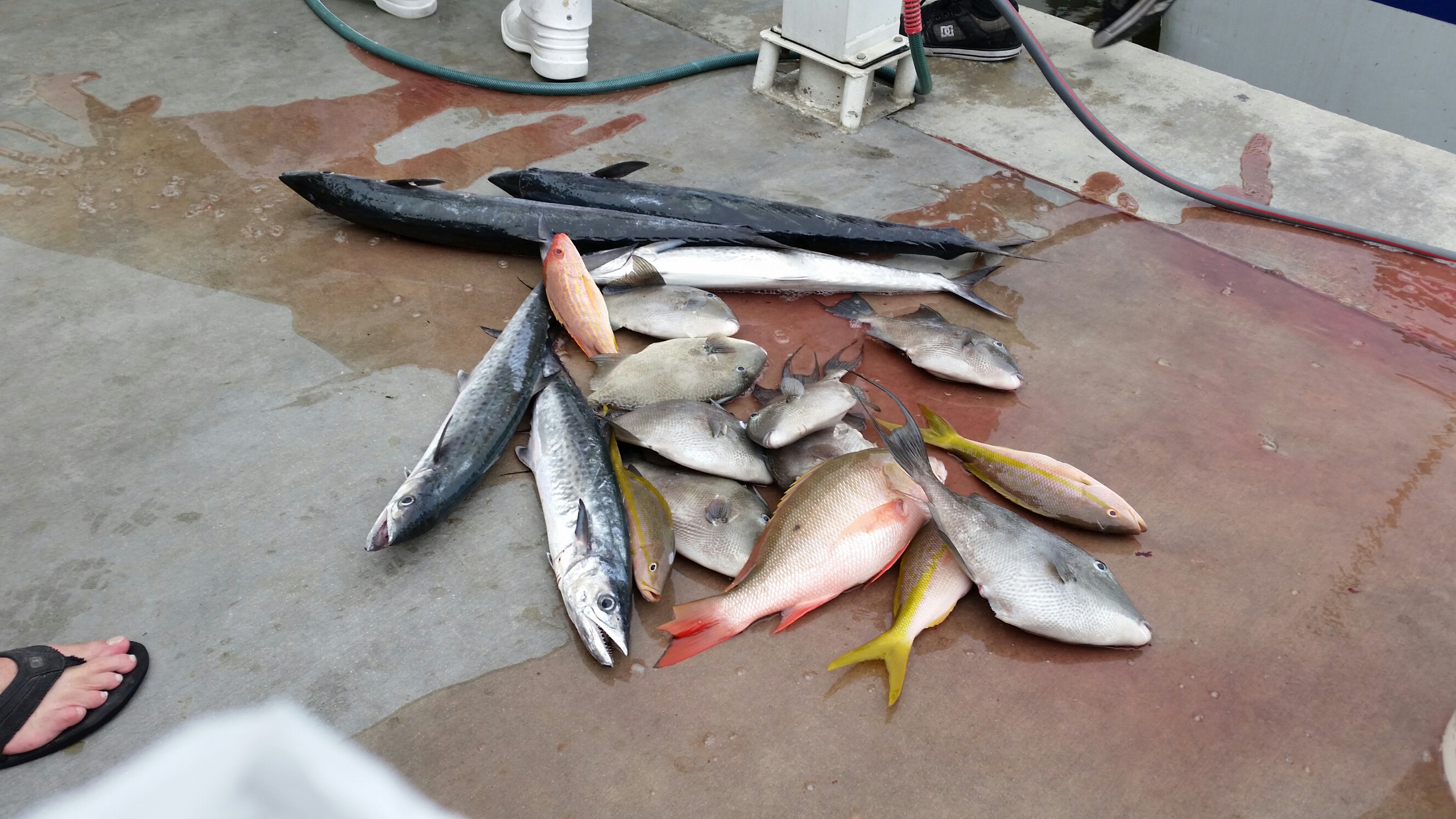 Tuesday, July 29, 2014  1-5 pm