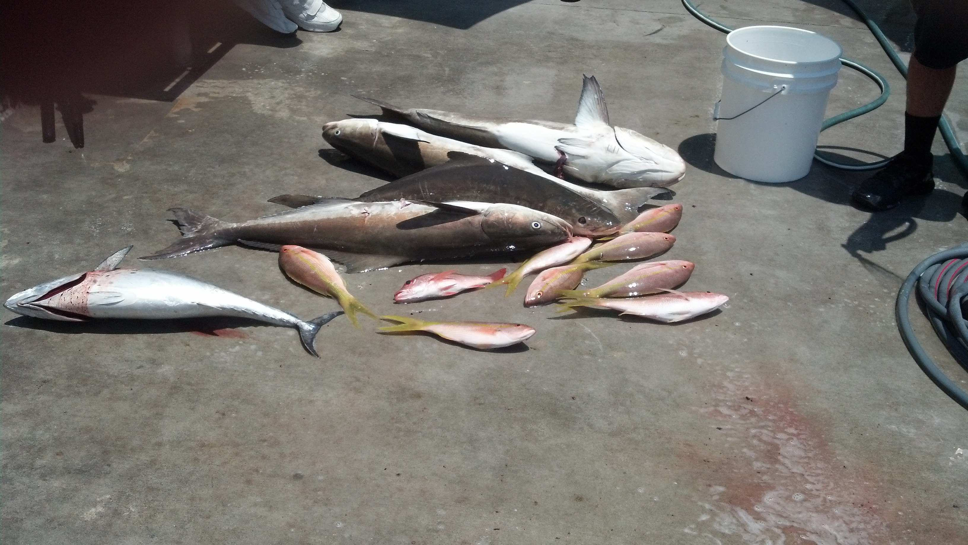 Friday, May 23, 2014   8am-12noon