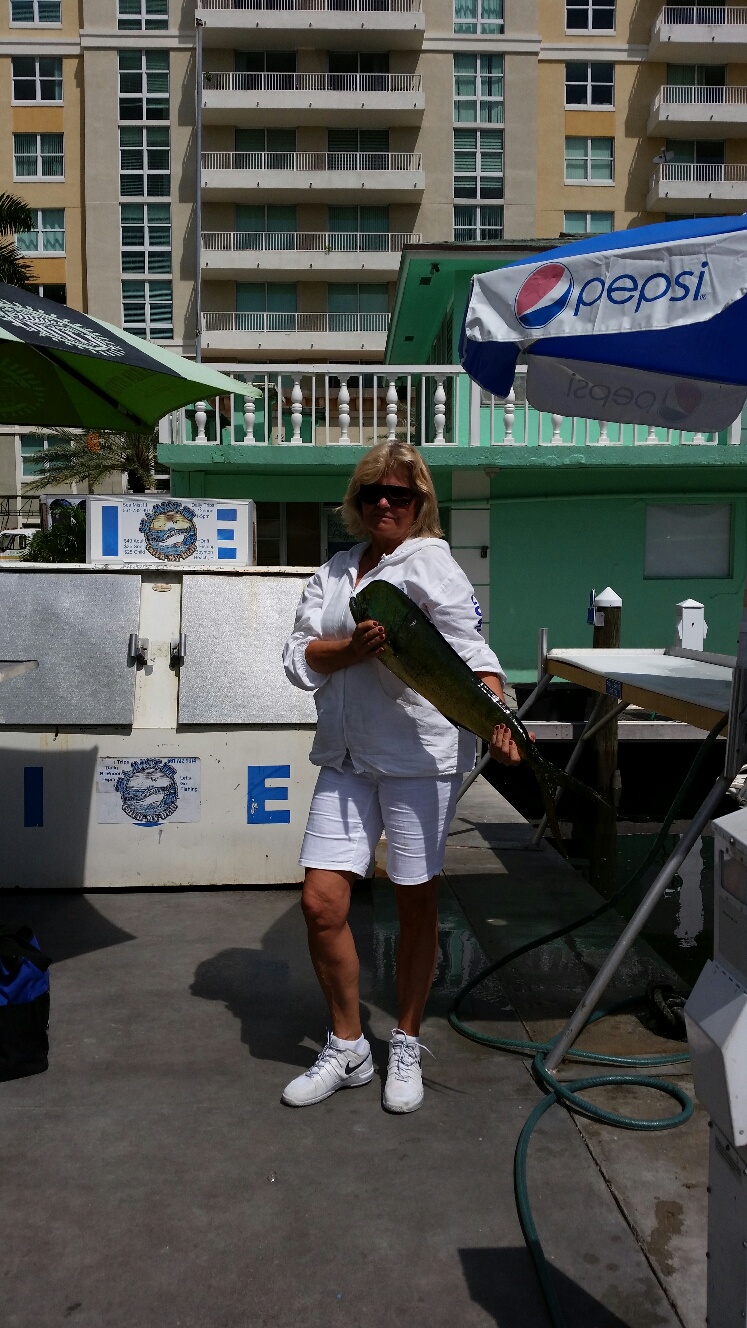 Tuesday, September 30, 2014  8am-12noon  Dolphin