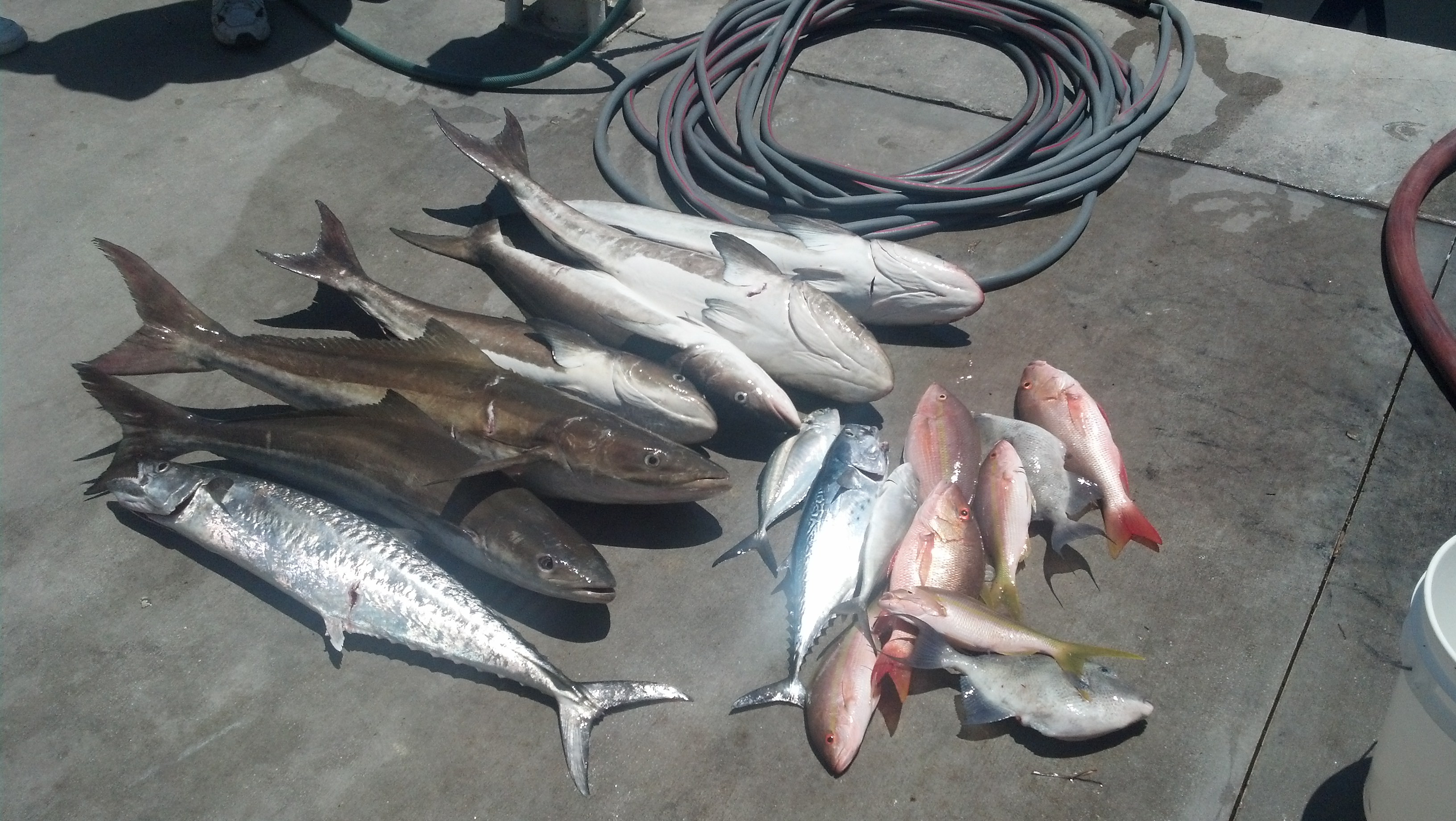 Thursday, May 22, 2014  8am-12noon