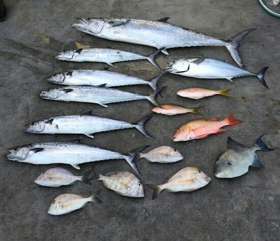 Tuesday, February 3, 2015