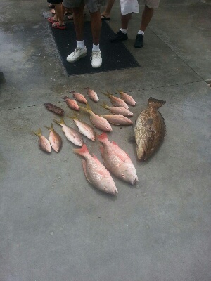 Tuesday, July 1, 2014 1-5 pm