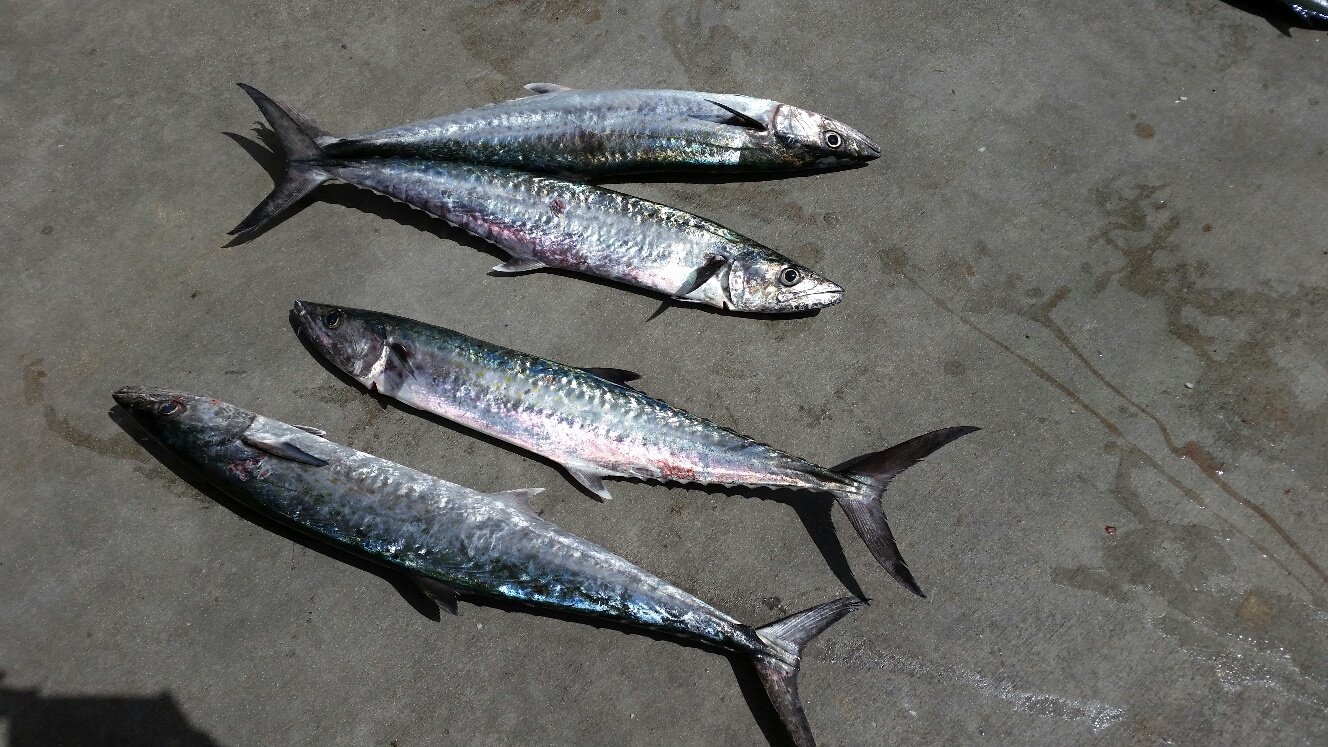 Wednesday, September 17, 2014 