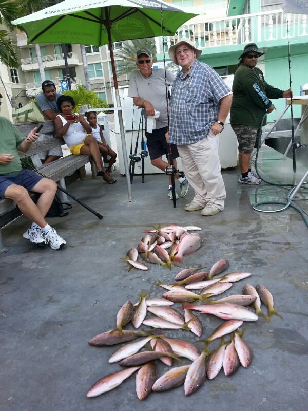 Wednesday, Sept 3, 2014 1-5 pm Yellowtail Snapper