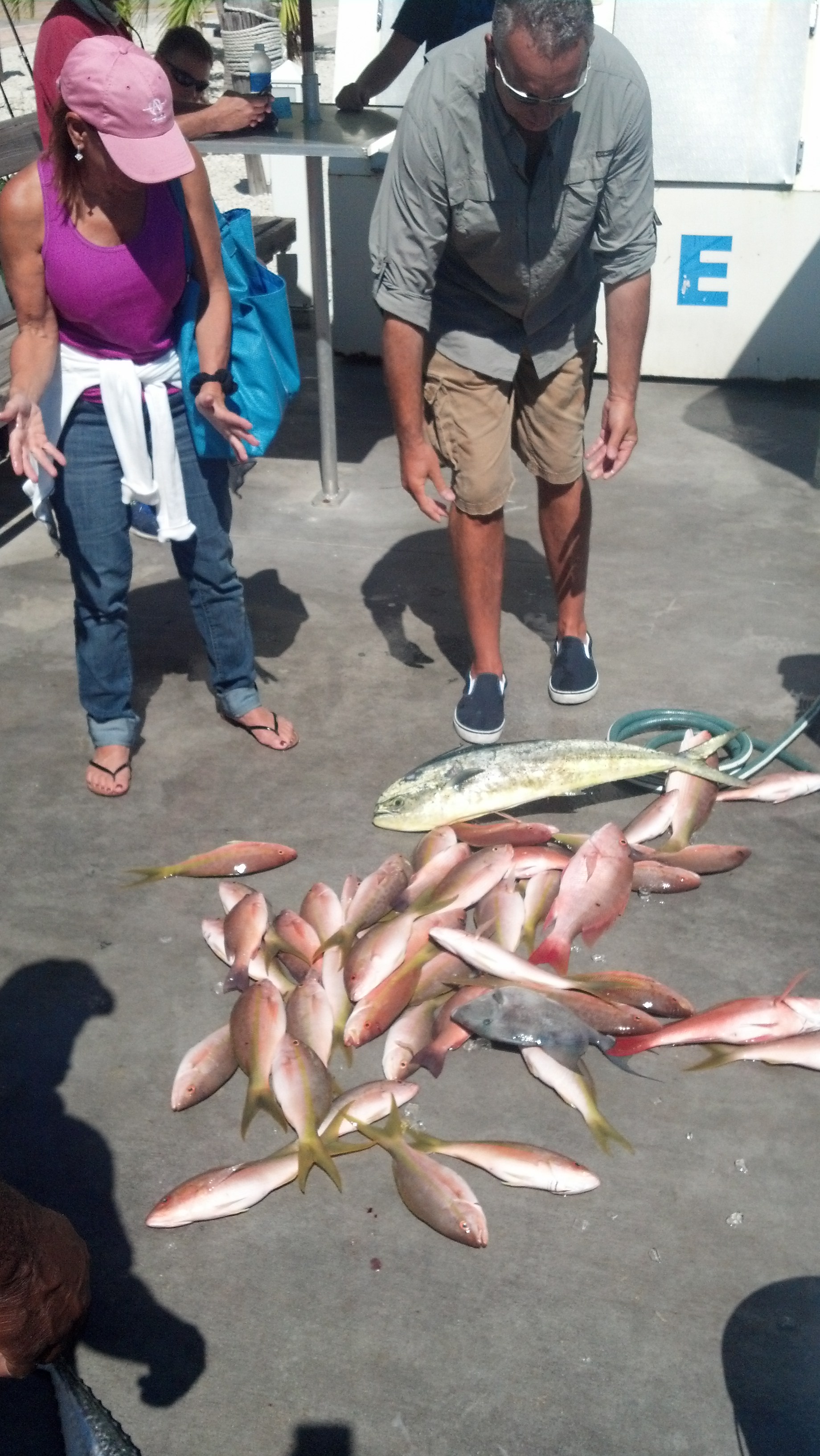 Saturday, October 18,2014  8am-12noon