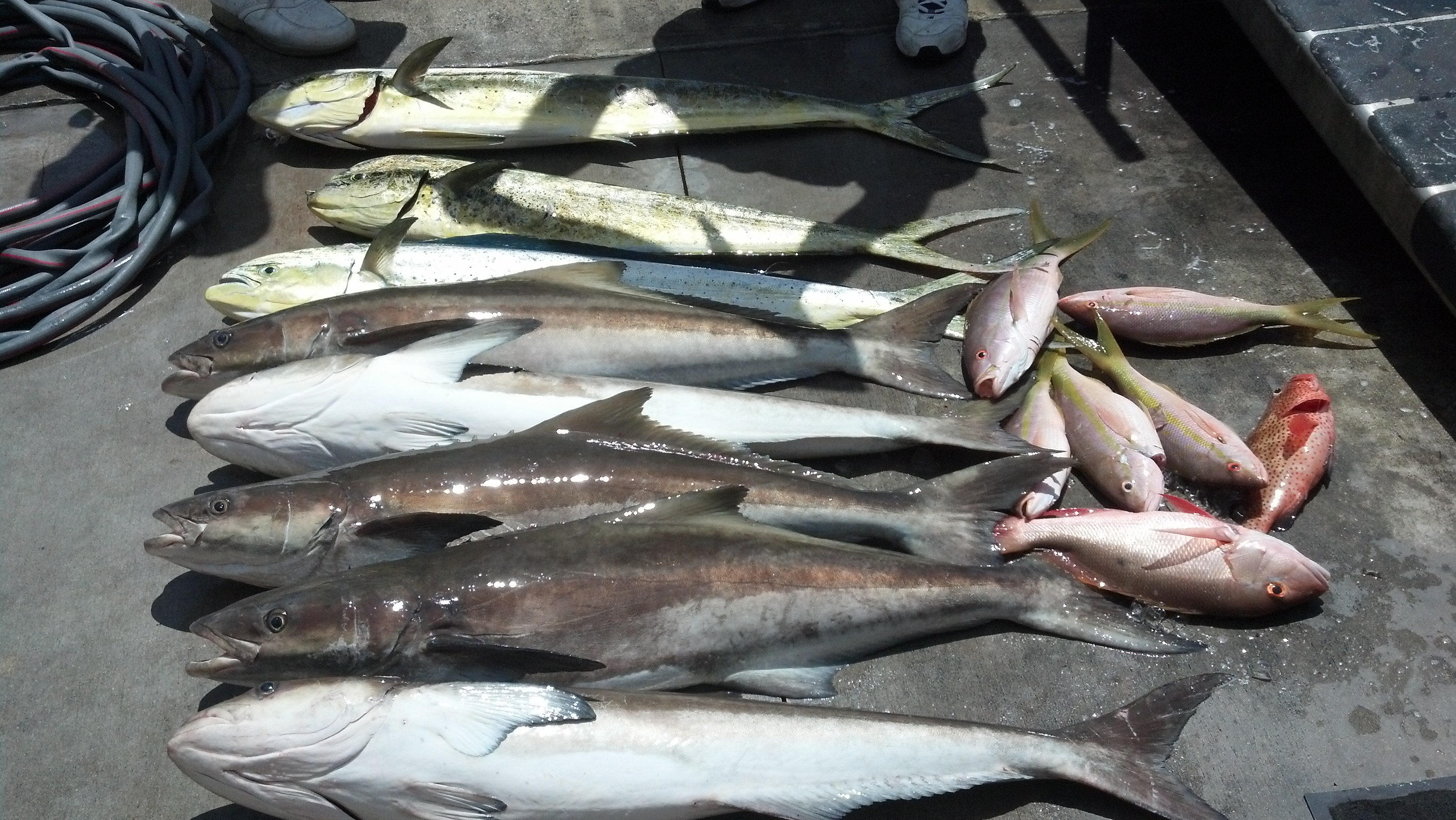 Wednesday, May 14, 2014  8am-12