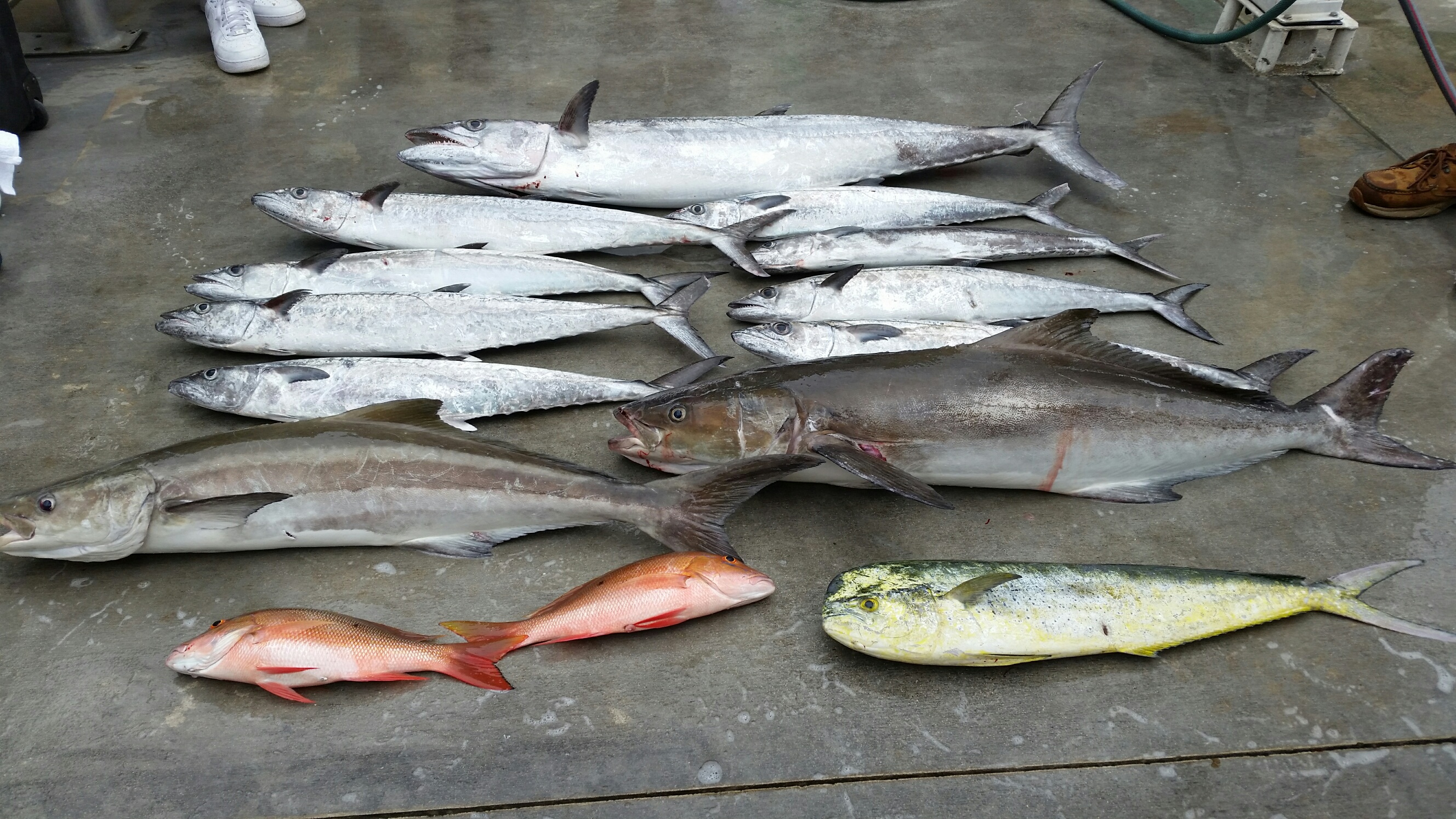 Tuesday, April 28, 2015  8am-12noon  