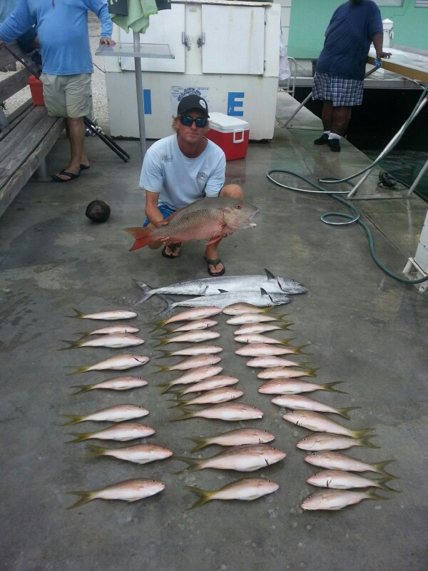 Tuesday, October 14, 2014 1-5 pm