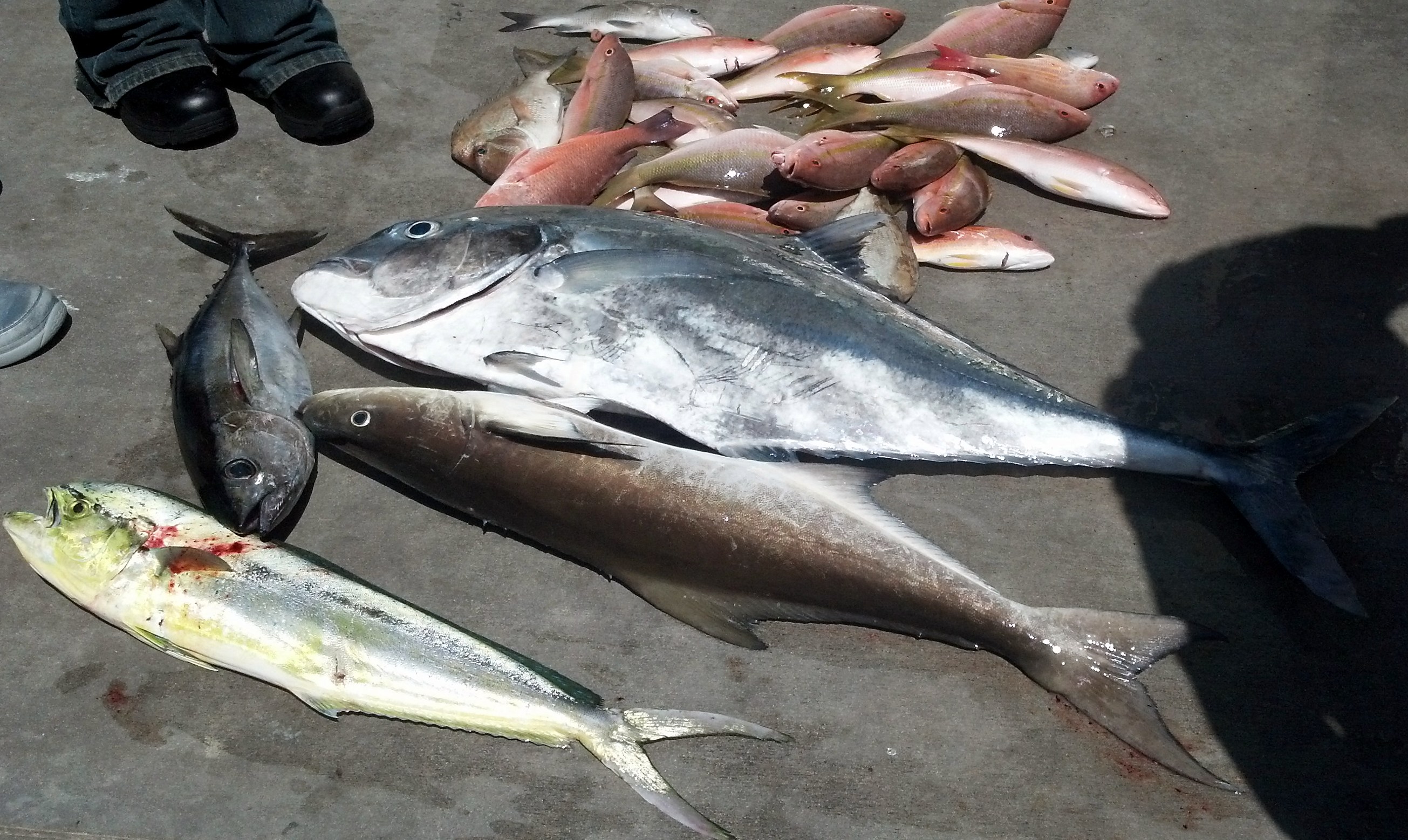 Sunday, Sept 28, 2014  8am-12noon