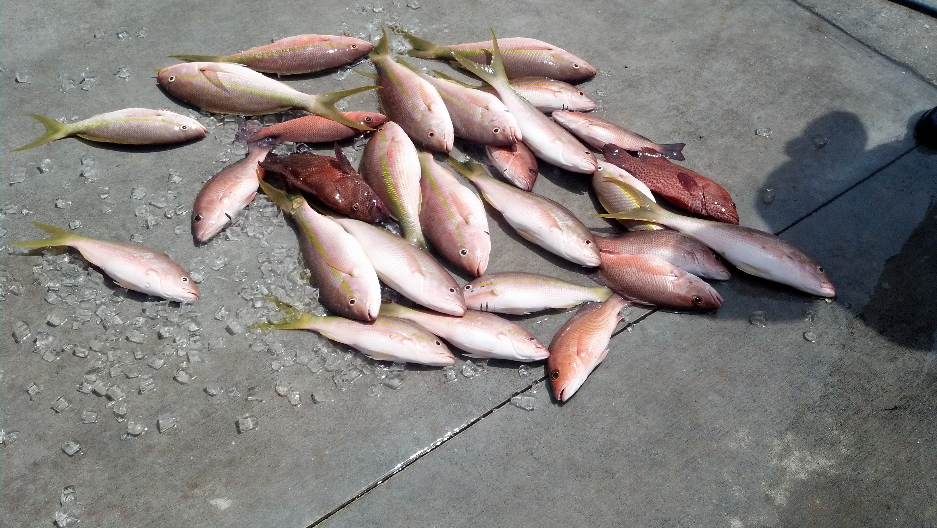 Monday, July 7, 2014   8am-12noon