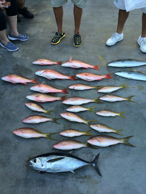 Saturday, October 25, 2014   1-5 pm