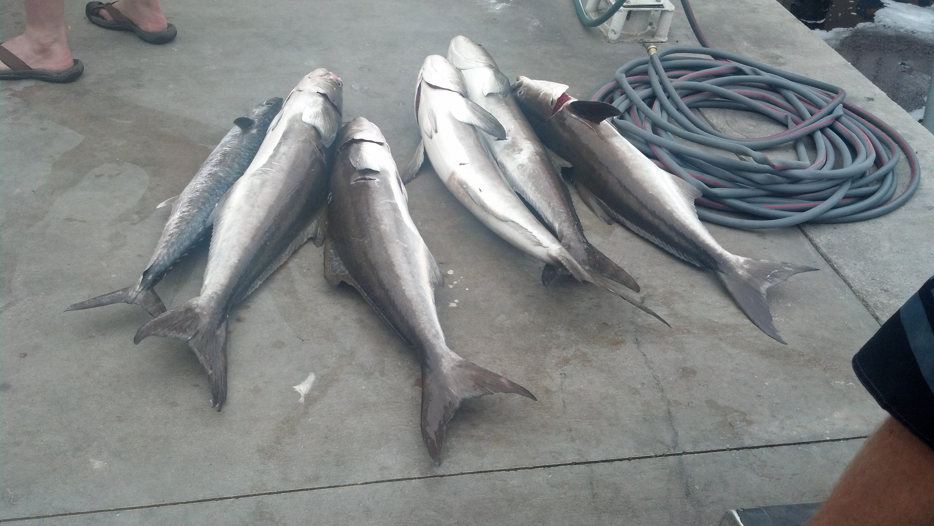 Friday, May 16, 2014 1-5 pm