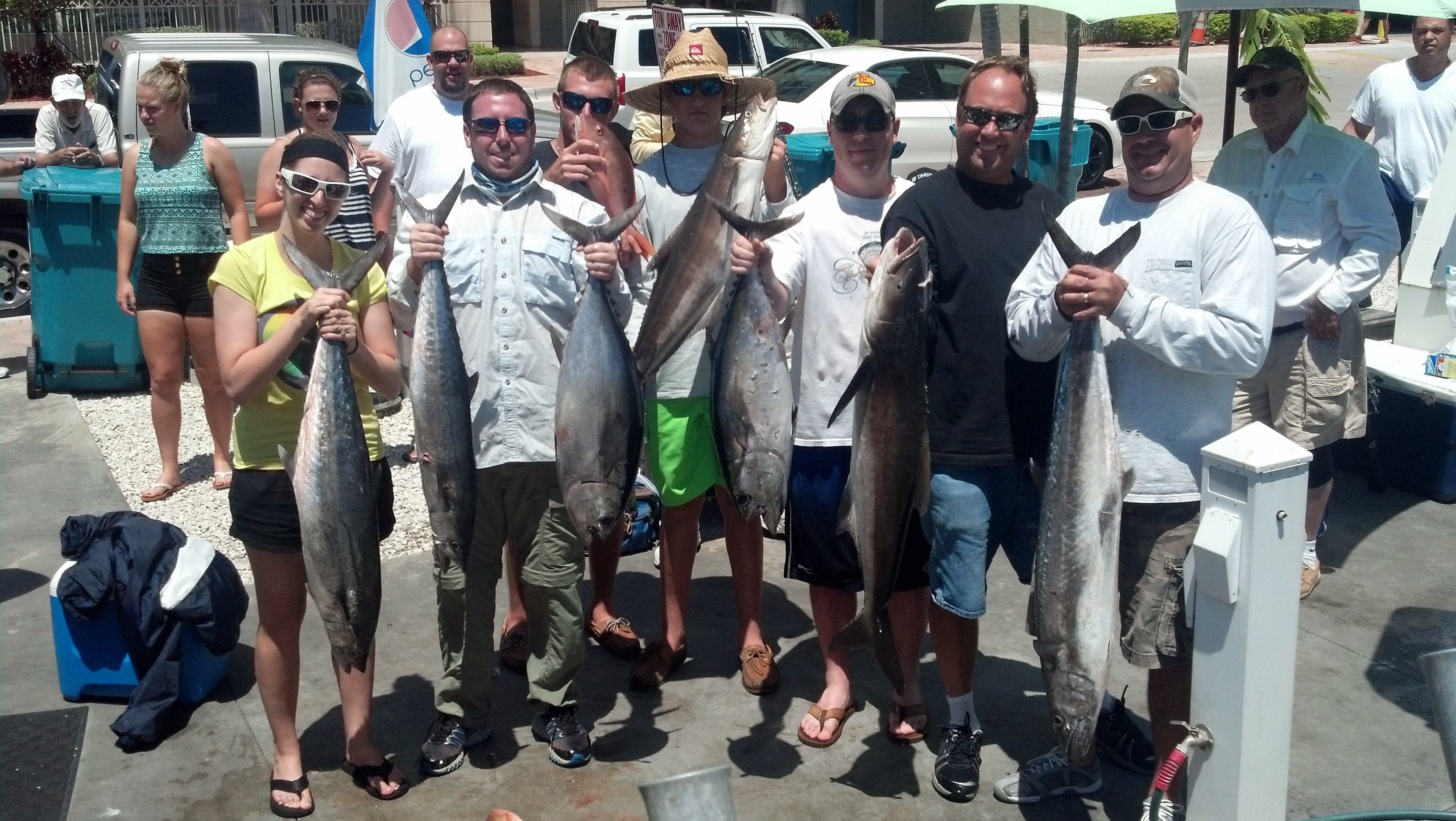 Sunday, May 4, 2014  8am-12noon 