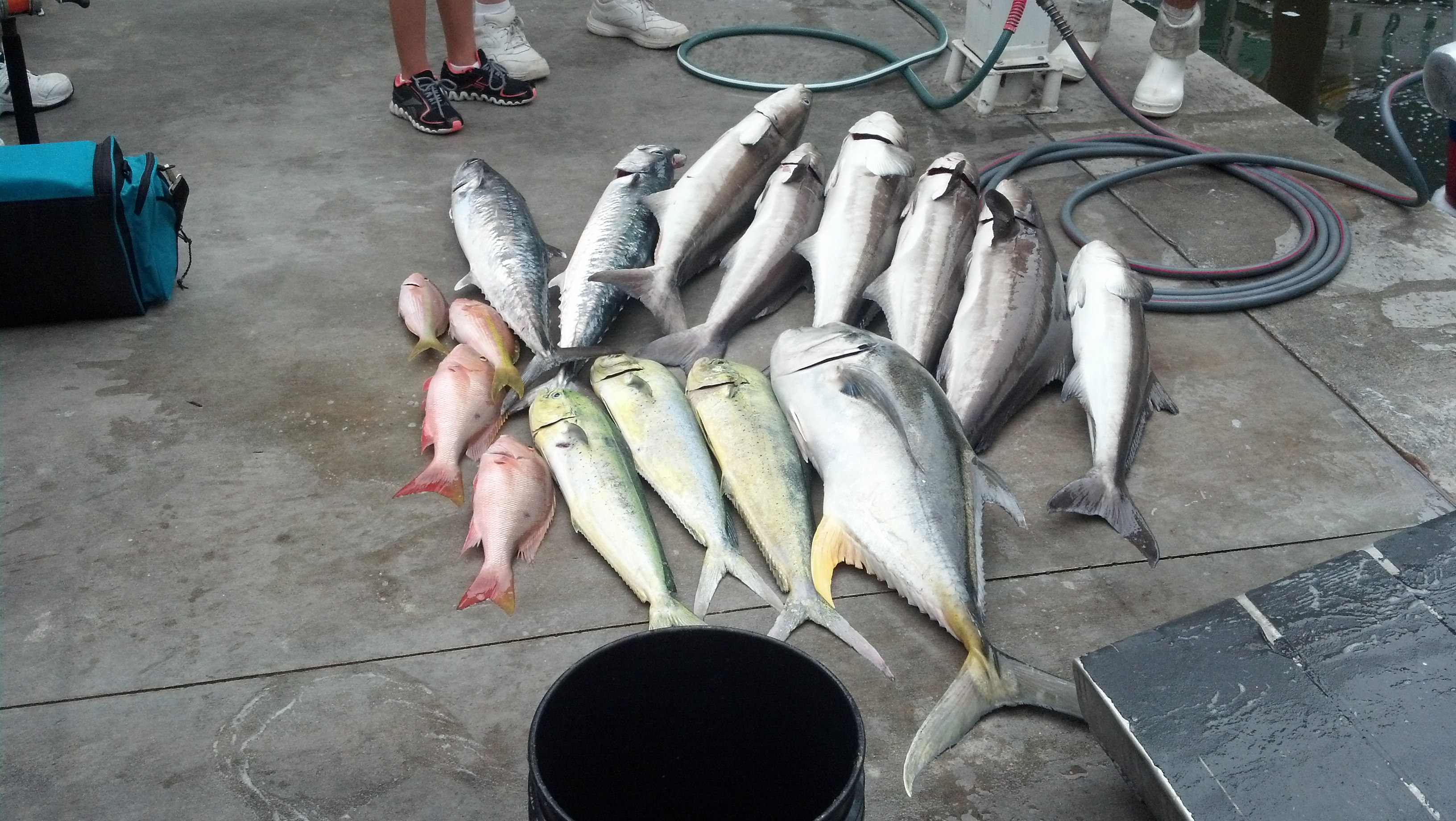 Friday, May 16, 2014 8am-12noon