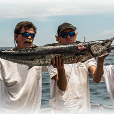 Thursday. July 31, 2014  1-5 pm  Wahoo