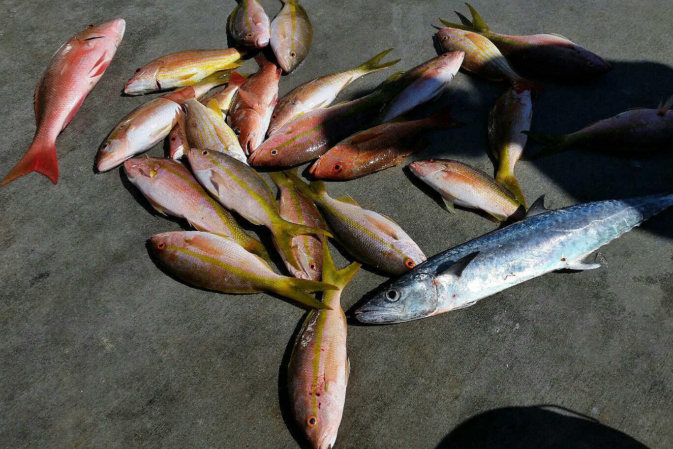 Tuesday, October 28, 2014  8am-12noon