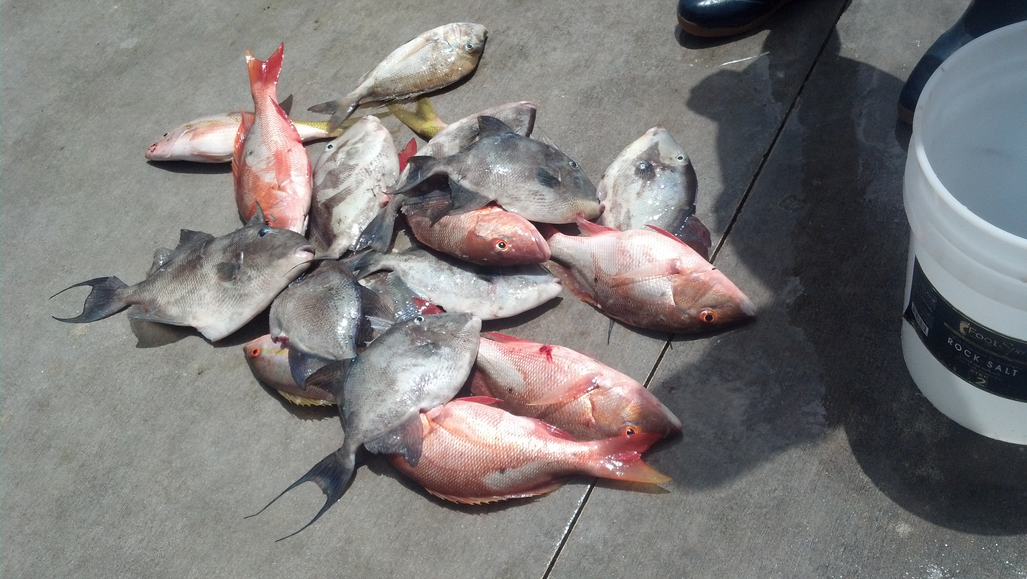 Monday, June 23, 2014  8am-12noon