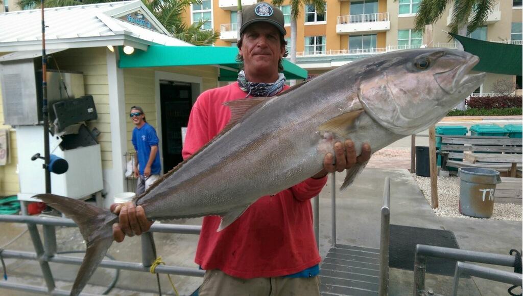 Amberjack
