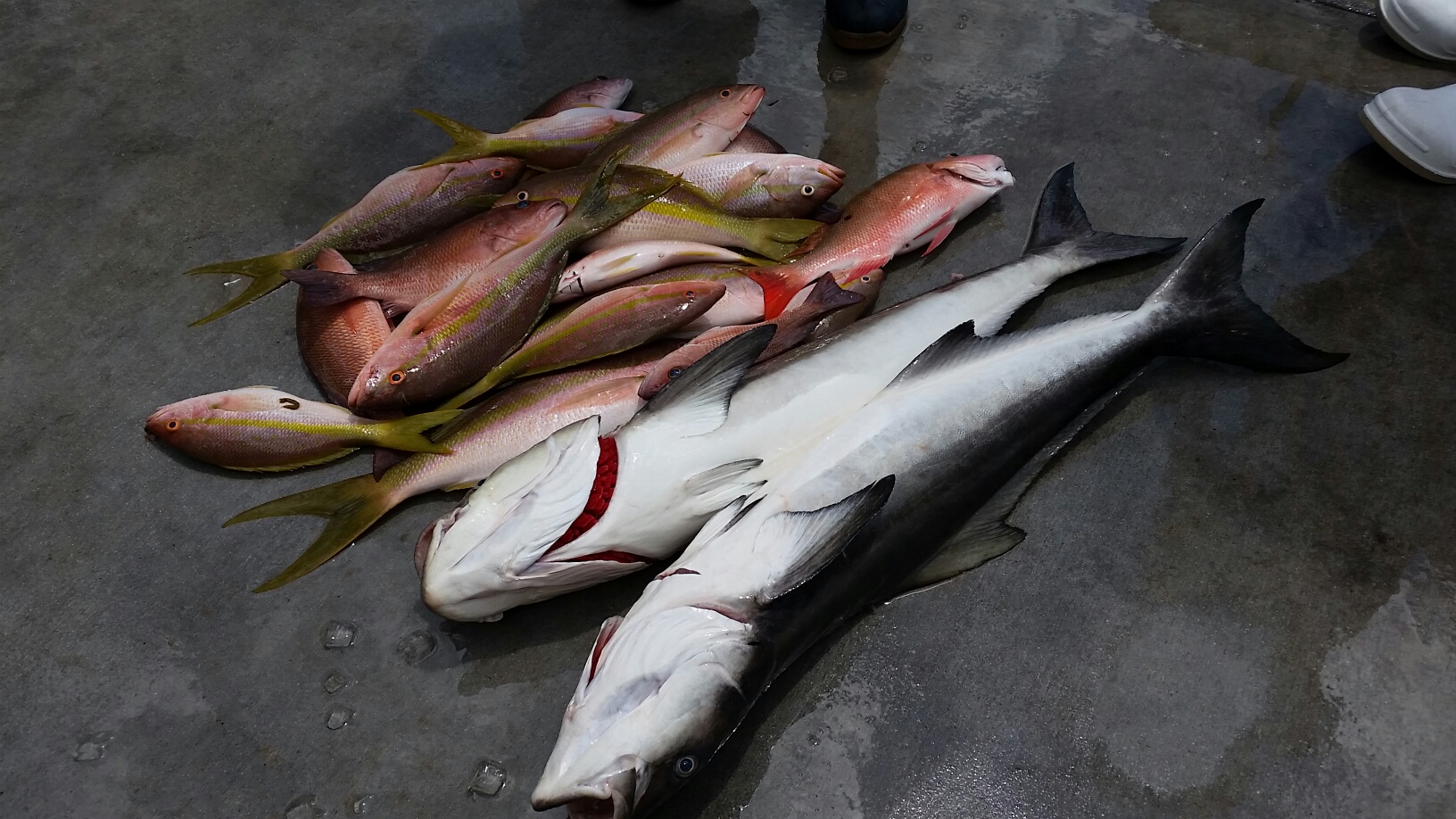 Wednesday, June 11, 2014  8am-12noon  