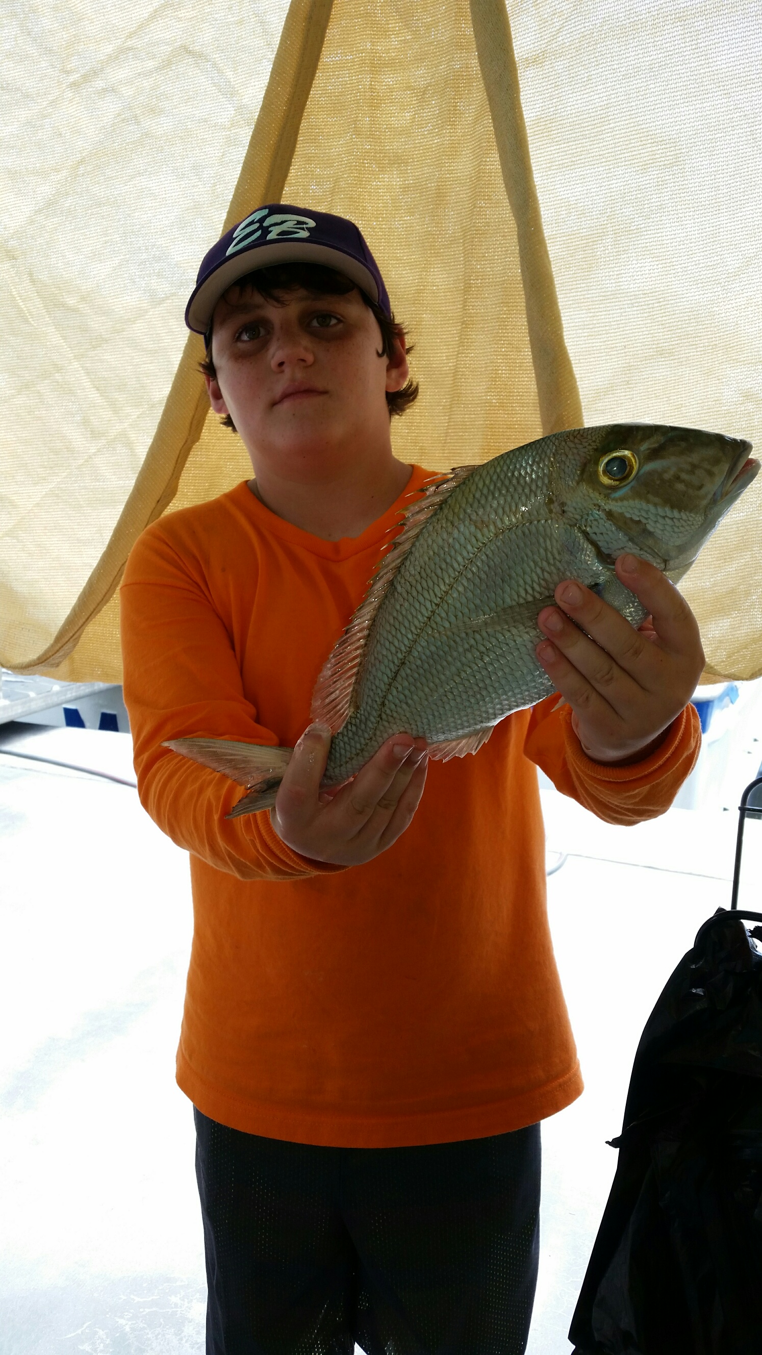 Tuesday August 11, 2015