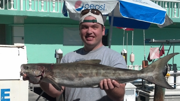 Monday, December 1, 2014  8am-12noon